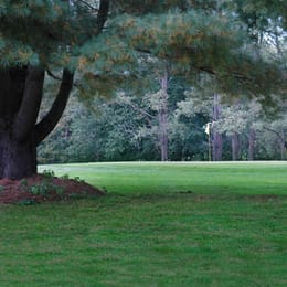 Stone Dock Golf Club