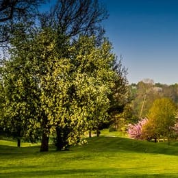 UGOLF Château de Cély