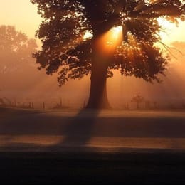 The Belfry Golf (PGA National)