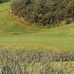 Killarney Golf Club (Academy)