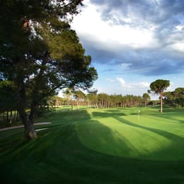 Montgomerie Maxx Royal