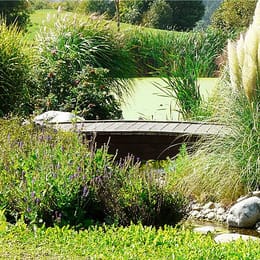 Golf Club Bad Rappenau