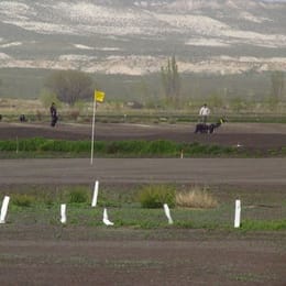 Las Bardas Campo de Golf