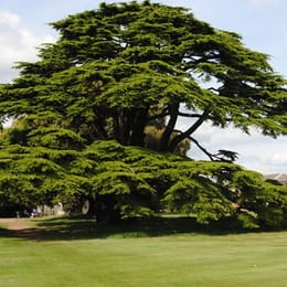 Brookmans Park Golf Club