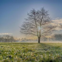Golfbaan De Hooge Rotterdamsche