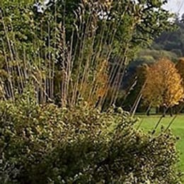 Broome Manor Golf Complex (18h)