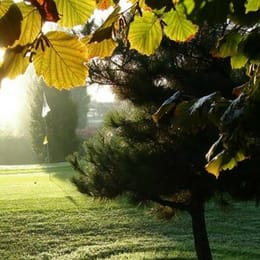 Golfcenter Seve Rotterdam