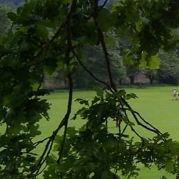 Golfclub Schloss Auel (Kurzplatz)