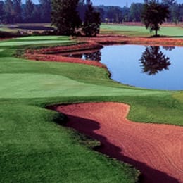 The Woodlands of Van Buren