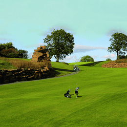 The Grove Golf and Bowl