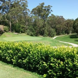 Chatswood Golf Club