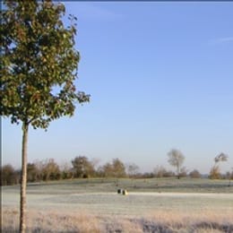 Clandon Regis Golf Club