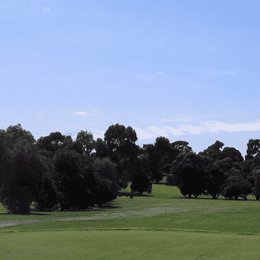 Ringwood Golf Club