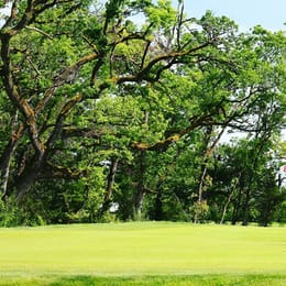 Golf de Montauban L'Estang