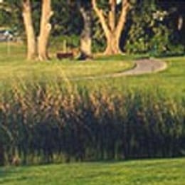 Mountain View Golf Course