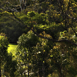 Elanora Country Club