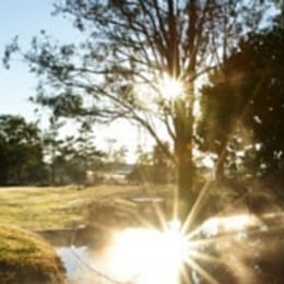 Albany Links Golf Course & Putt-Putt