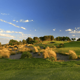 The Dunes Golf Links (Cups)