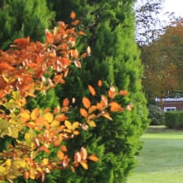Beech Park Golf Club