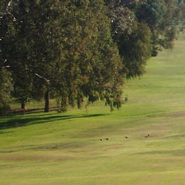 Northcote Golf Club