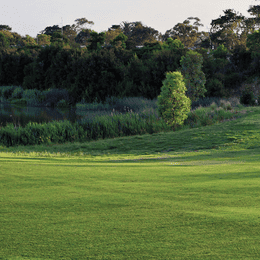 Sandhurst Club (Champions)