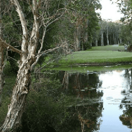 Mount Coolum Golf Club
