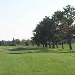 Big Al's Greens & Grille