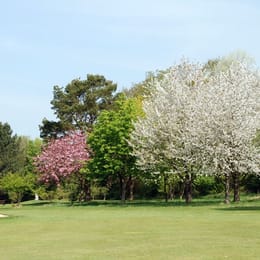 Dereham Golf Club