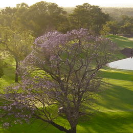 Western Australian Golf Club