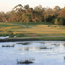 Riverside Oaks Golf Resort (Bungool)