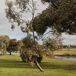 Altona Lakes Golf Course