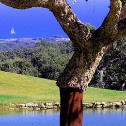 The San Roque Club (New)