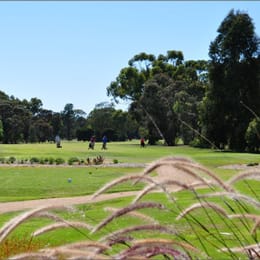 Numurkah Golf