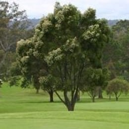 Bega Country Club