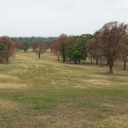 Alto Verde Golf Club