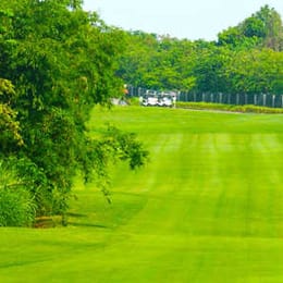 Forest Hills Golf & Country Club (Palmer)