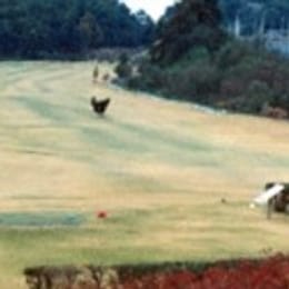 Wonju Air Force Training Center (New)