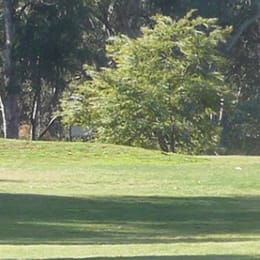 Castlemaine Golf Club