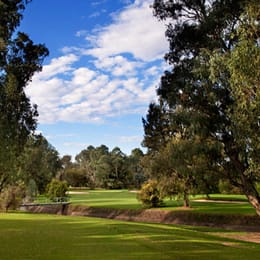 Commercial Golf Resort