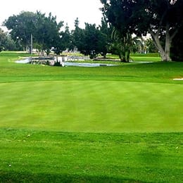 Banús llama Executive Golf