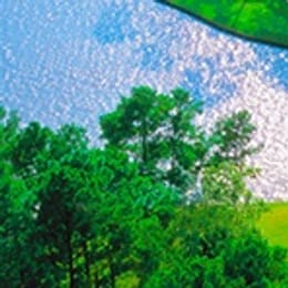 Bentwater on Lake Conroe (Weiskopf)