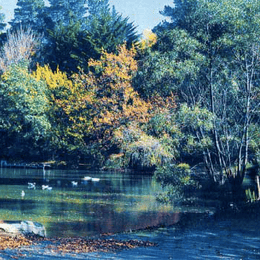 Emerald Golf & Country Resort