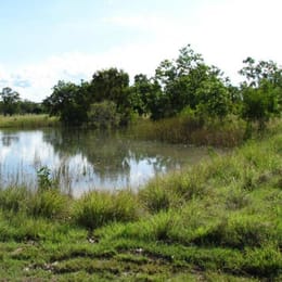 Katherine Country Club