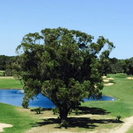 Sun City Country Club