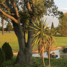 Bronkhorstspruit Golf Club