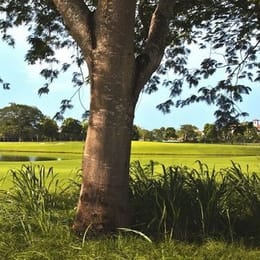 Buenaventura Golf Club