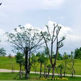 Rose Garden Golf Club