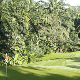 Saujana Golf and Country Club (Palm)