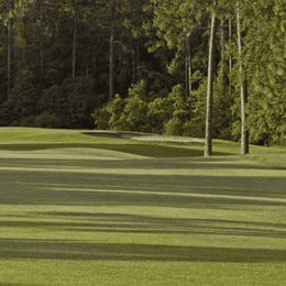 Julington Creek Golf Club