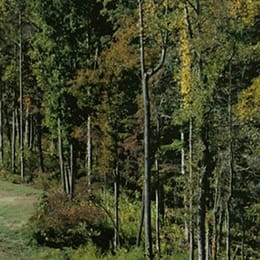 Woodmont Golf & Country Club